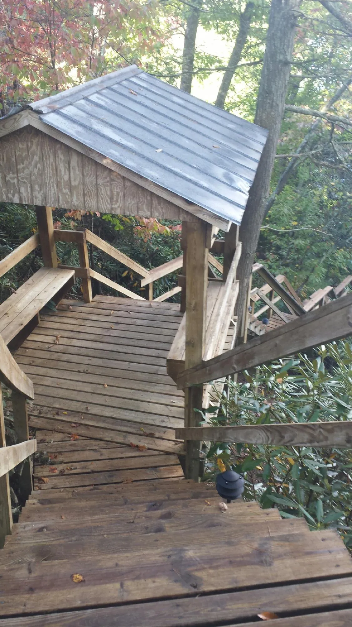 Metal roofed shelter over wooden steps on a wooded walkway — Skylight Repair & Installation work by our crew in Eyota