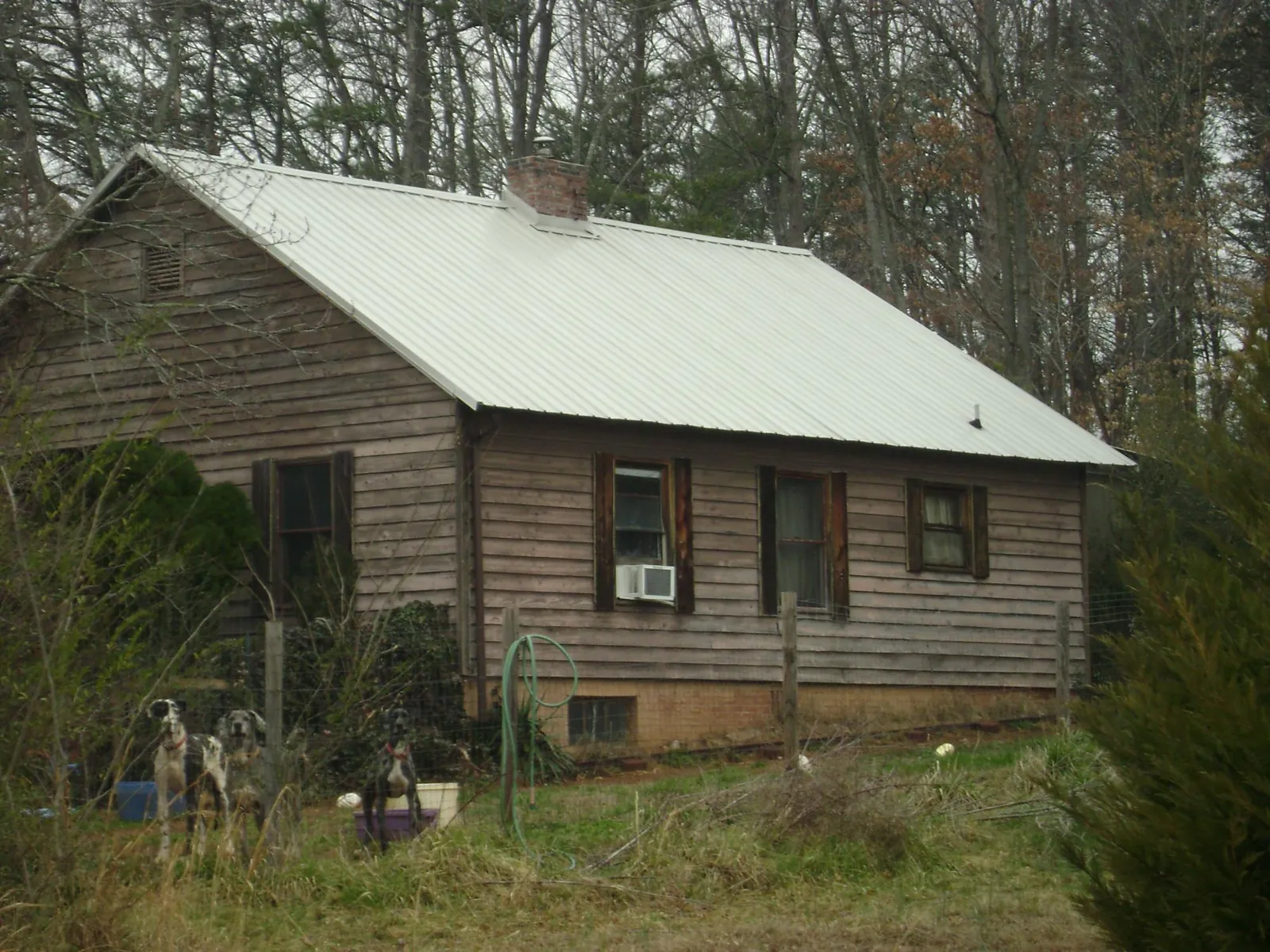 White metal roof on an old wood sided farmhouse, from a Asphalt Shingle Roof Repair job in Eyota
